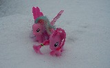 Pinke Pie and Ploomette in search of a Christmas Tree